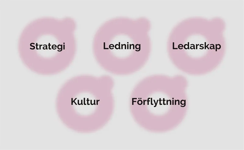 Expertområden